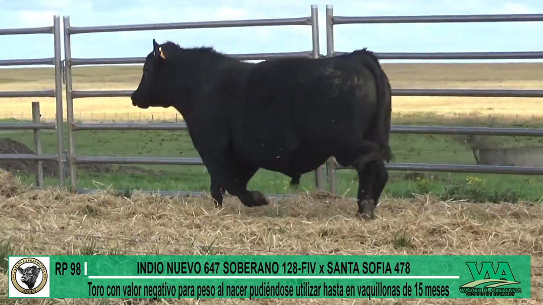 Lote Toros a remate en Cabaña La Franqueira, Florida