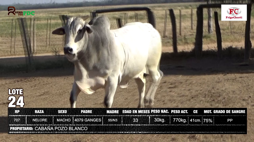 Lote CABAÑA POZO BLANCO