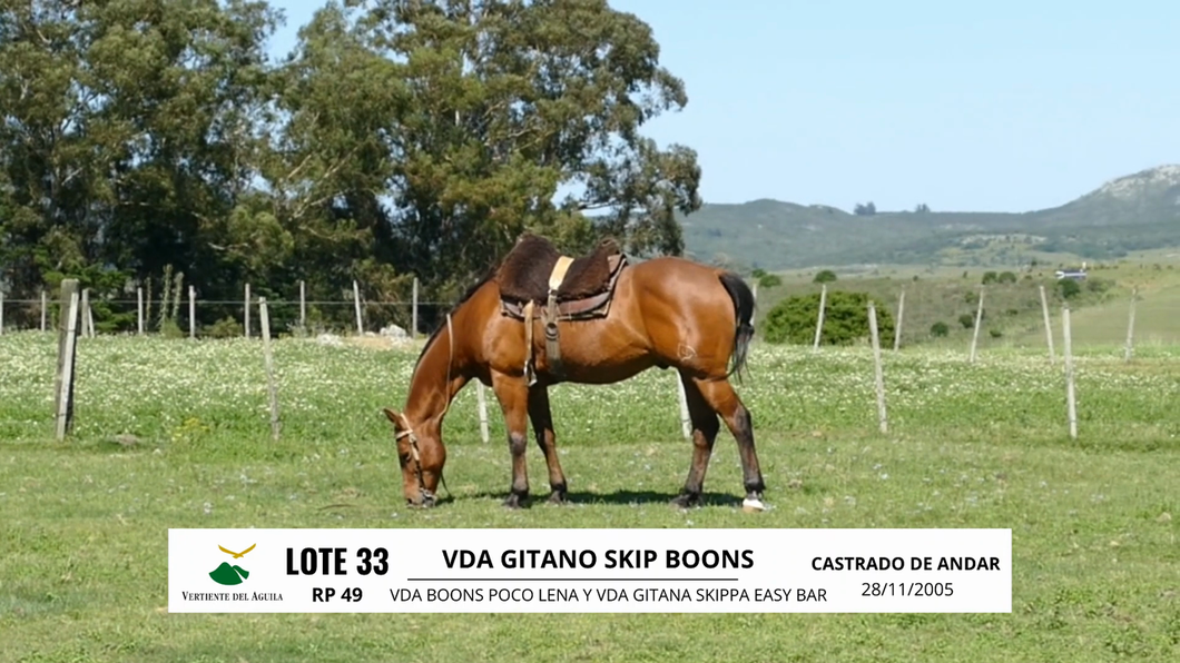 Lote VDA GITANO SKIP BOONS