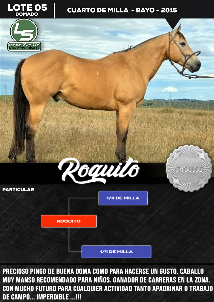 Lote ROQUITO