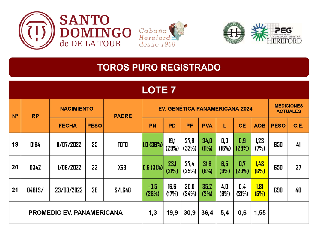 Lote TOROS PR (LOTES) - ( Incluye S/ )