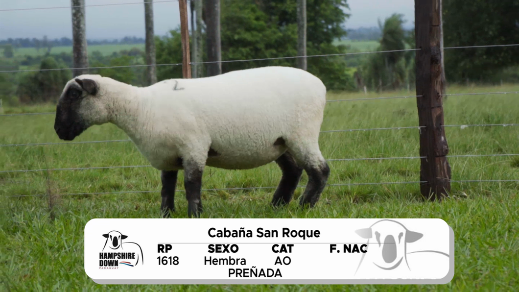 Lote LOTE 3 A CAMPO - RP 1618