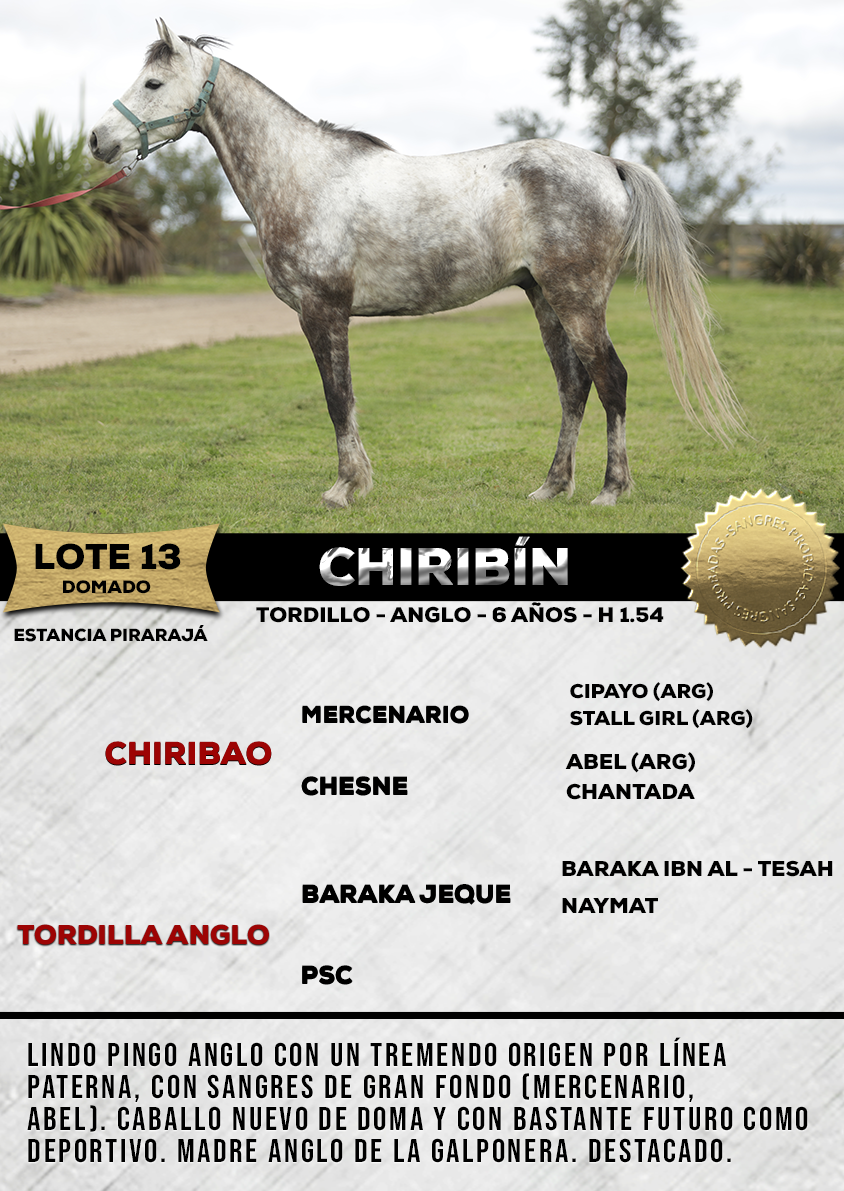 Lote CHIRIBÍN