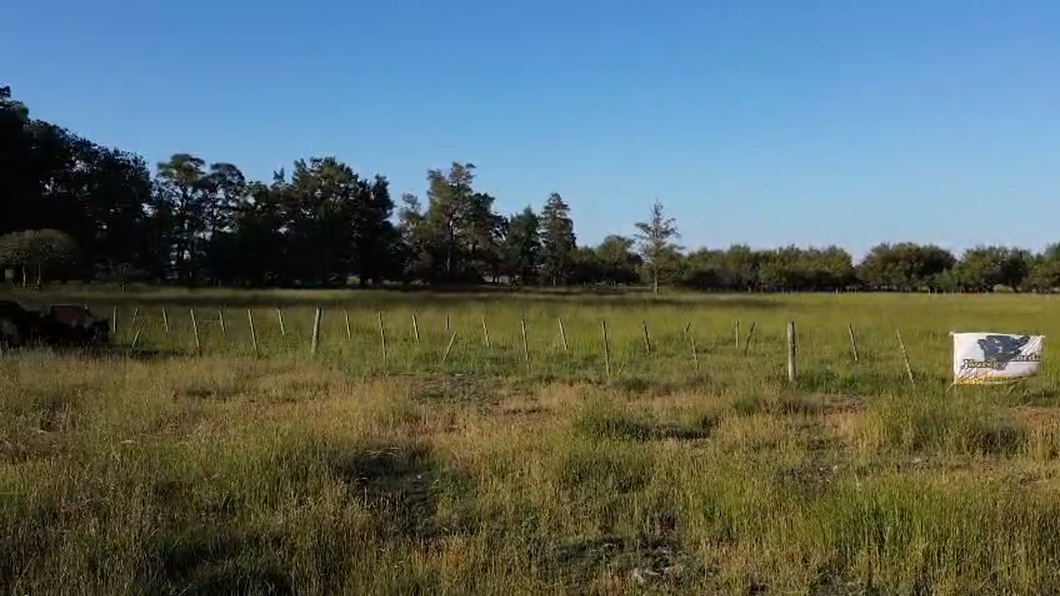 Lote 200 AL CTE MEDIO USO