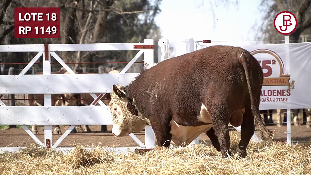 Lote TORO