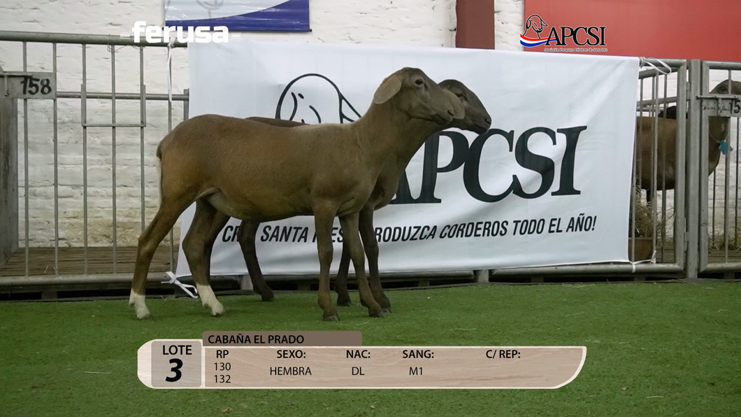 Lote Nacional Santa Inés Campo - Lote 3