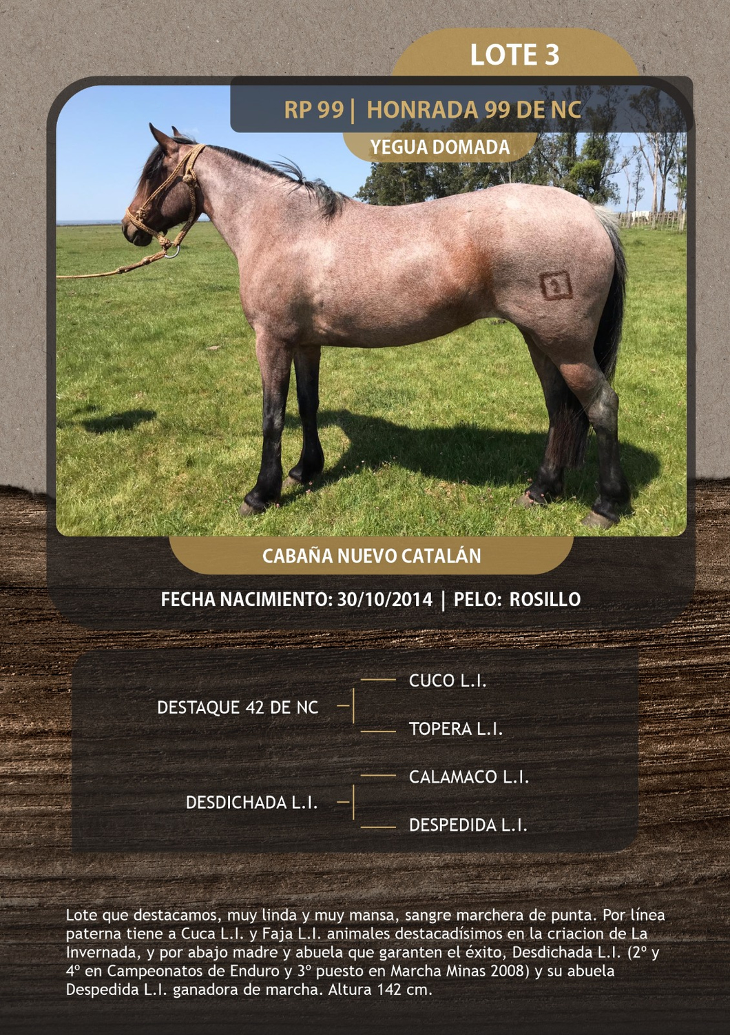 Lote HONRADA 99 DE NC