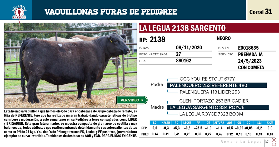 Lote VAQUILLONAS PP REMATE