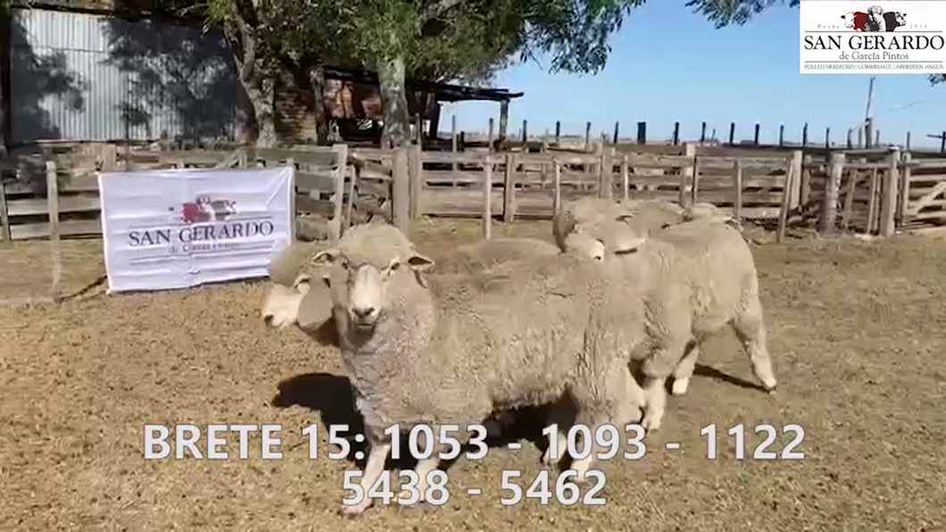 Lote Brete 15 San Gerardo