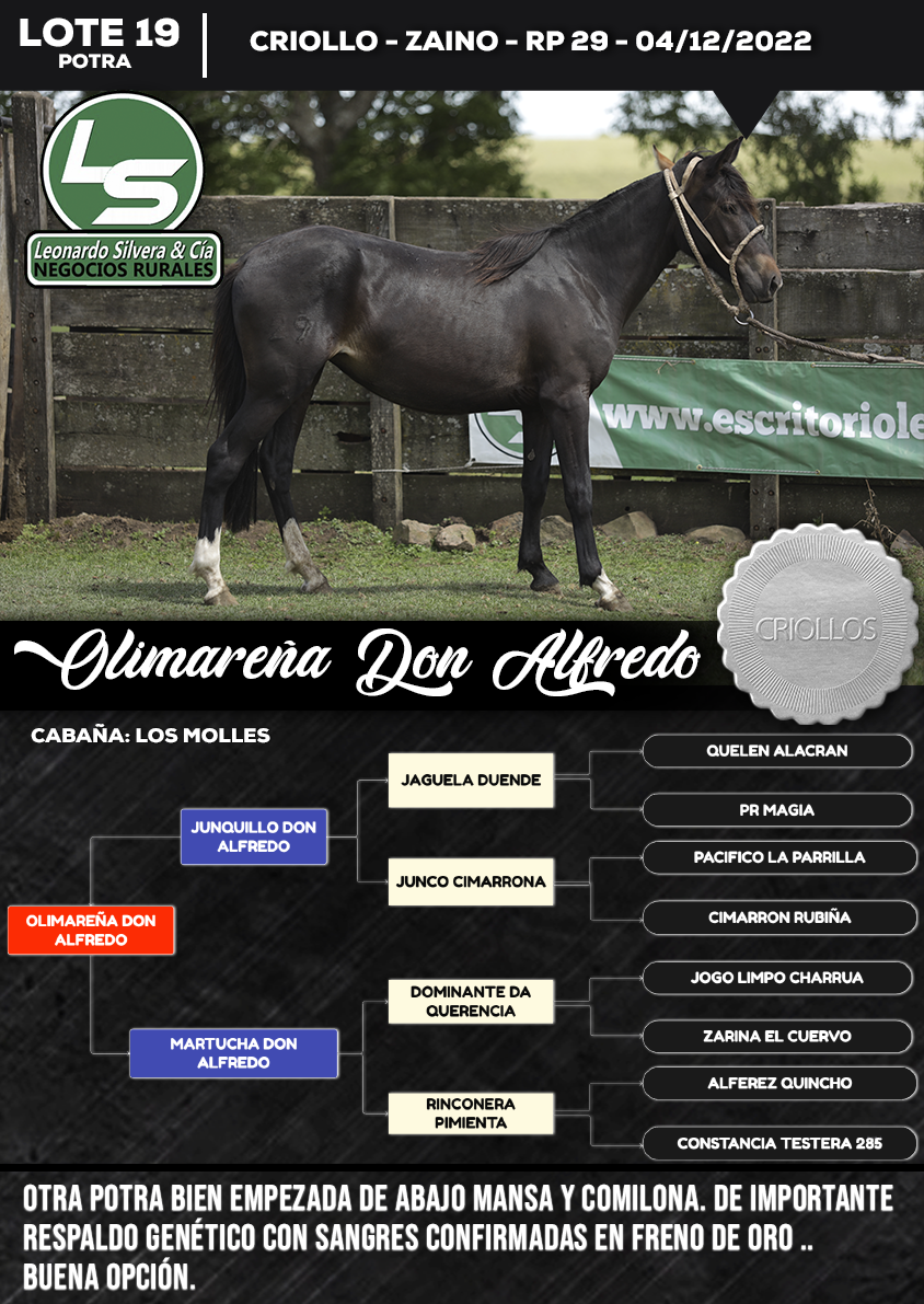 Lote OLIMAREÑA DON ALFREDO