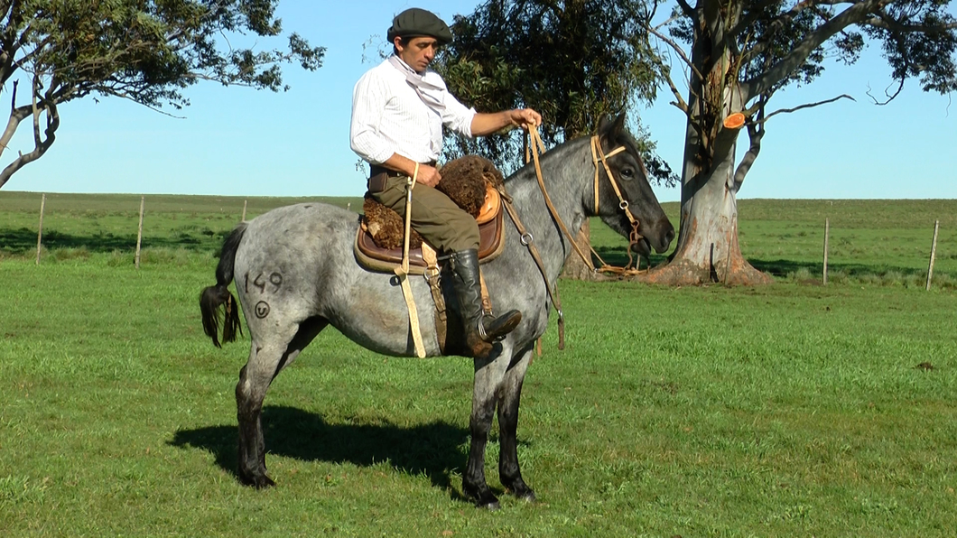 Lote CANTAROLA LA CARRETA