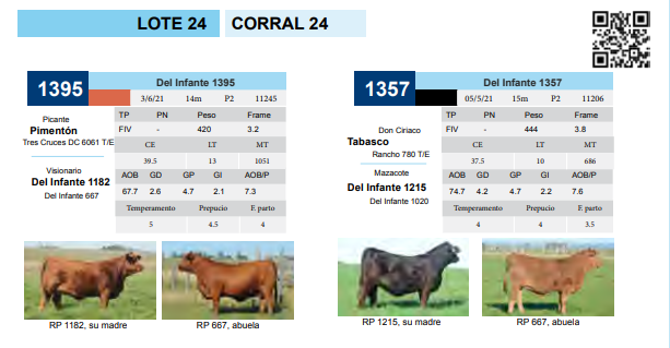 Lote CORRAL 24
