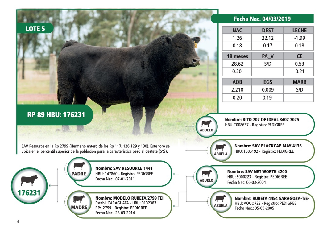 Lote RP 89