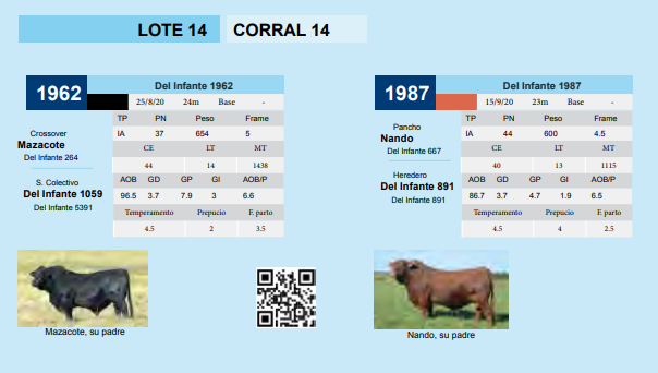 Lote CORRAL 14