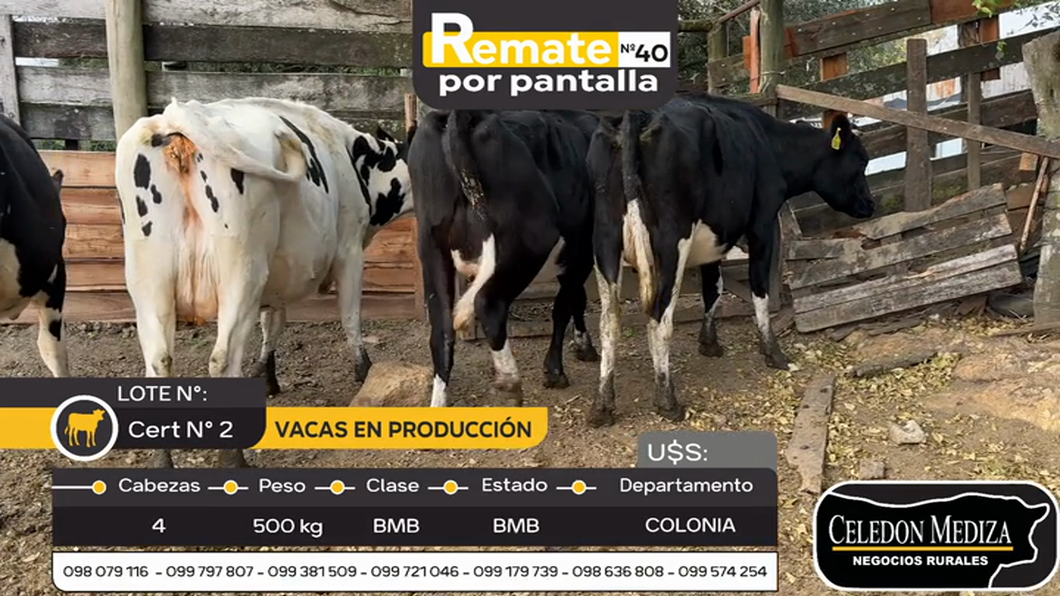 Lote 4 Vaca en Artilleros, Colonia