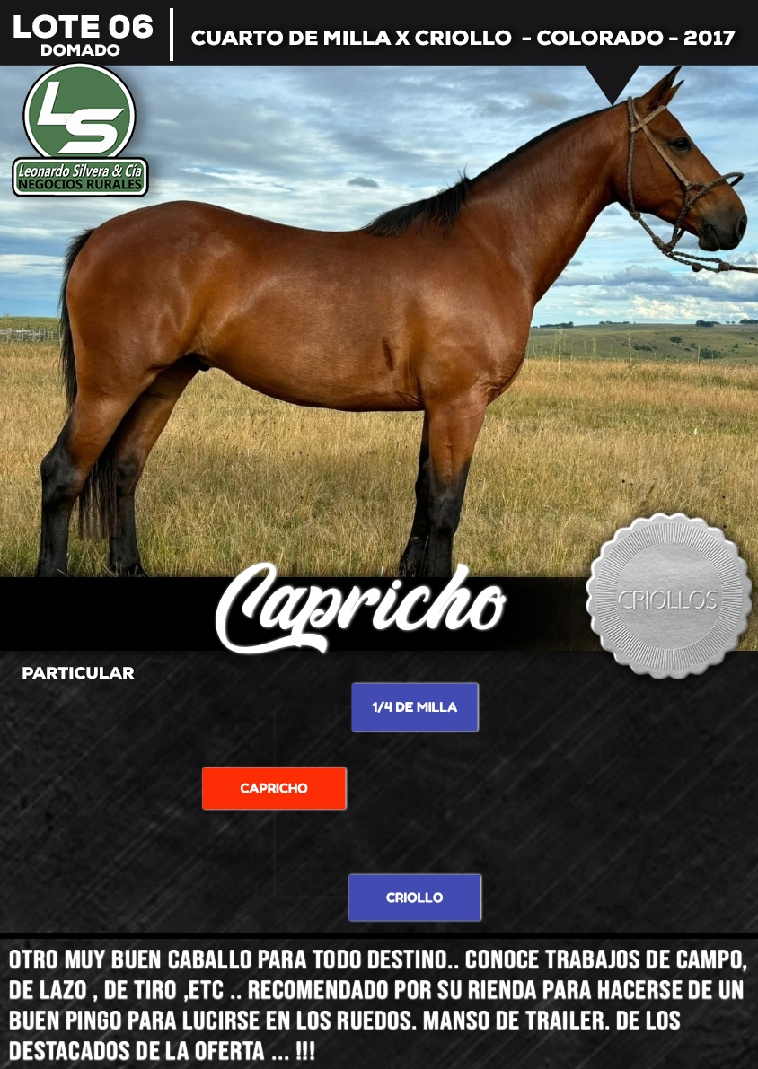 Lote CAPRICHO