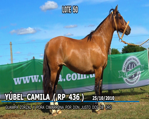 Lote YUBELY CAMILA