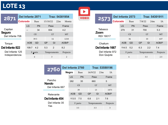 Lote Lote 13