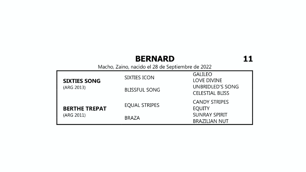 Lote BERNARD (SIXTIES SONG - BERTHE TREPAT por  EQUAL STRIPES)