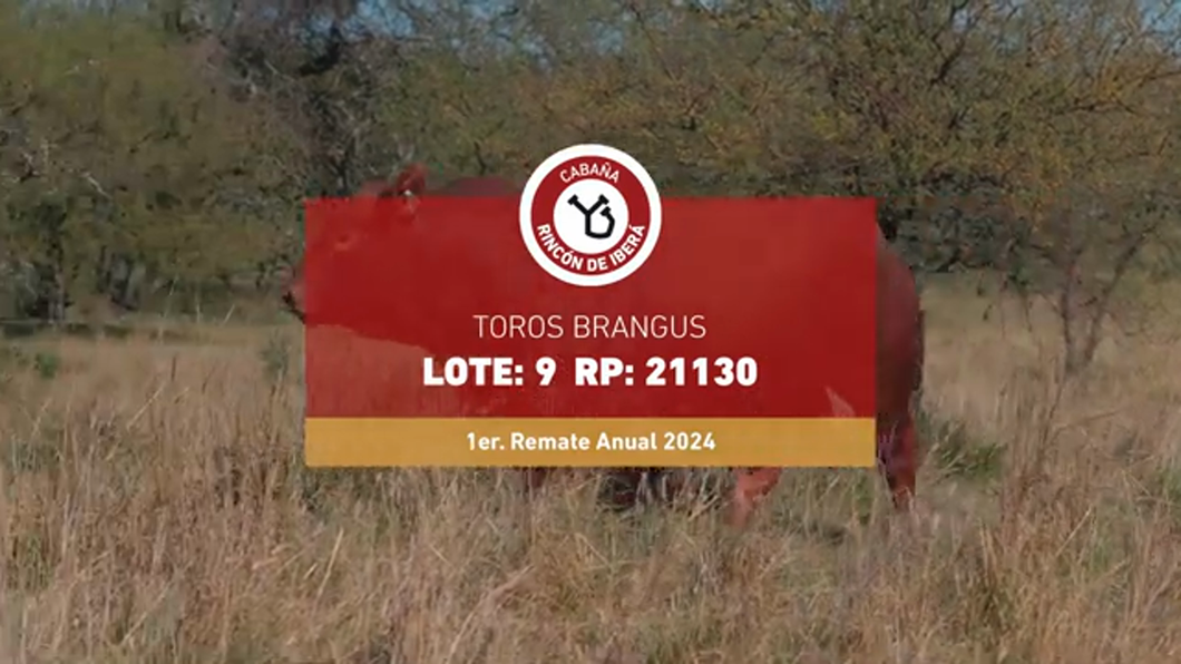 Lote RINCON IBERA 21130