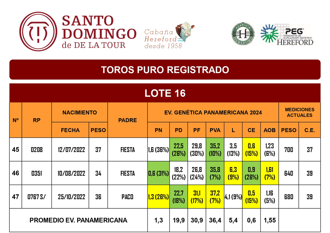 Lote TOROS PR (LOTES) - ( Incluye S/ )