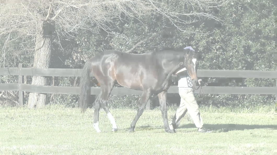 Lote DESPUES TIME (ANNALS OF TIME -  LA DE AFTER)