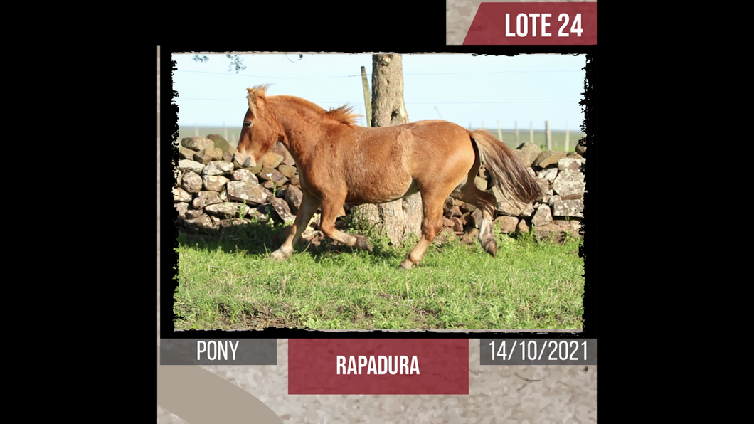 Lote RAPADURA