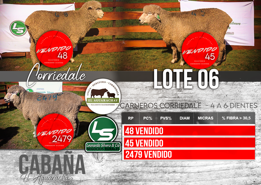 Lote LOTE 6