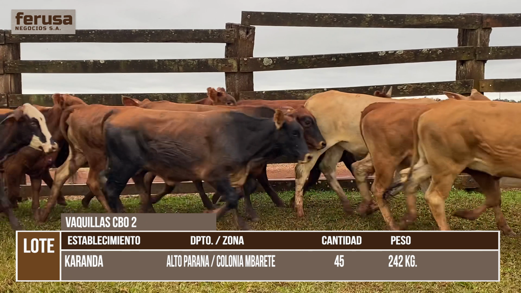 Lote LOTE 5