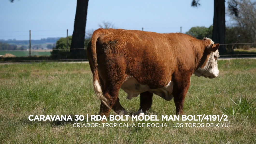 Lote RDA BOLT MODEL MAN BOLT/4191/2