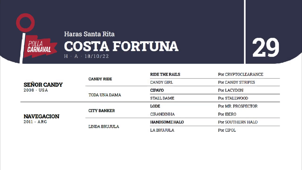 Lote COSTA FORTUNA