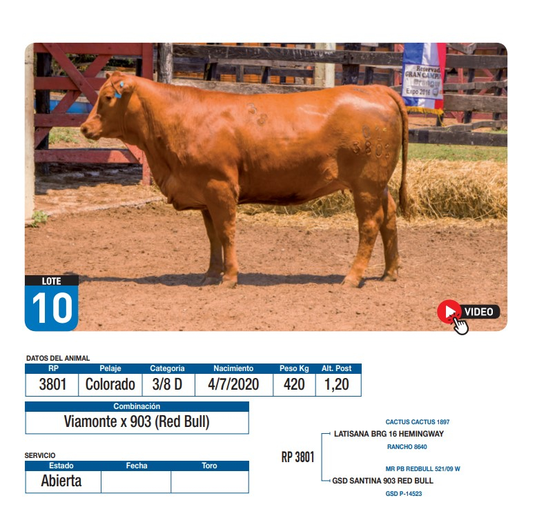 Lote Viamonte x 903 (Red Bull)