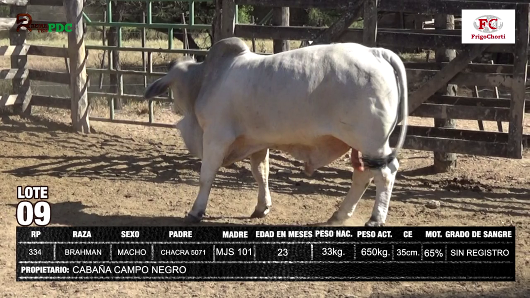 Lote CABAÑA CAMPO NEGRO