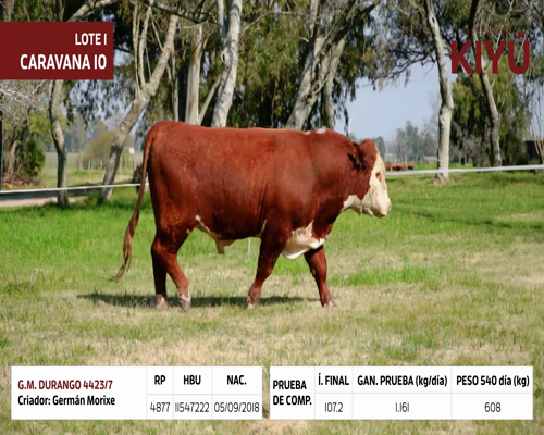 Lote G.M. DURANGO 4423/7