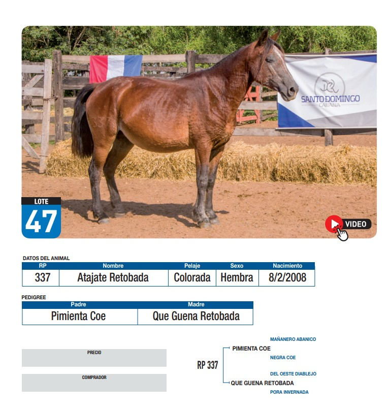 Lote Atajate Retobada