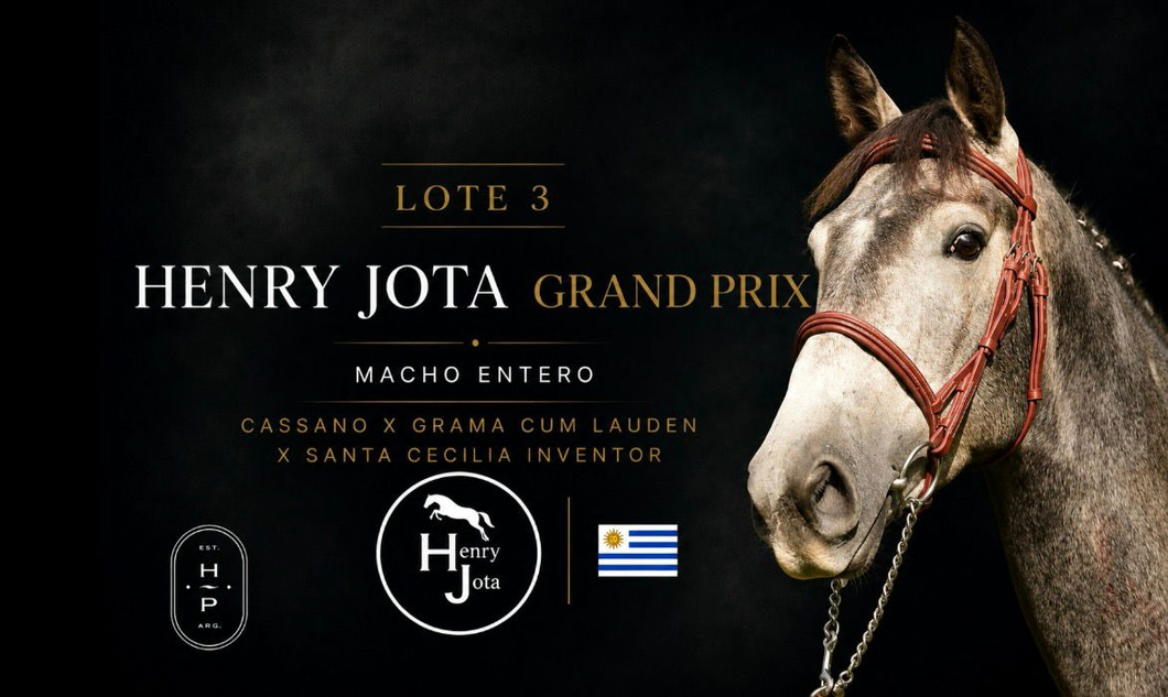 Lote HENRY JOTA GRAN PRIX
