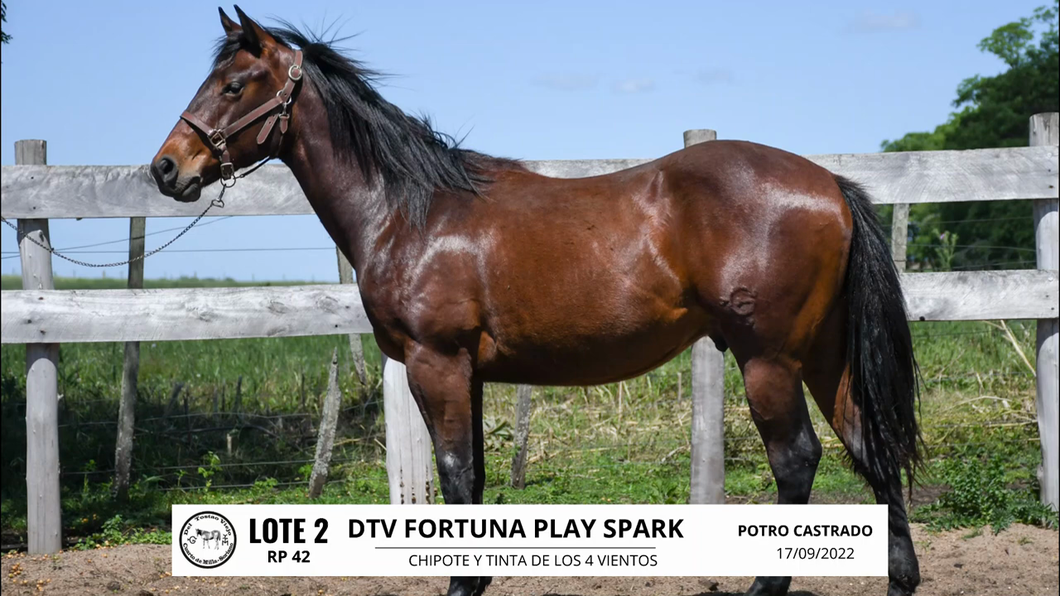 Lote DTV FORTUNA PLAY SPARK