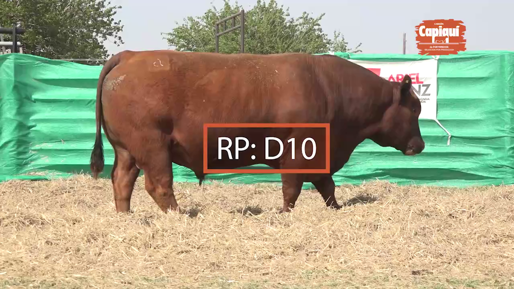 Lote Toro PC