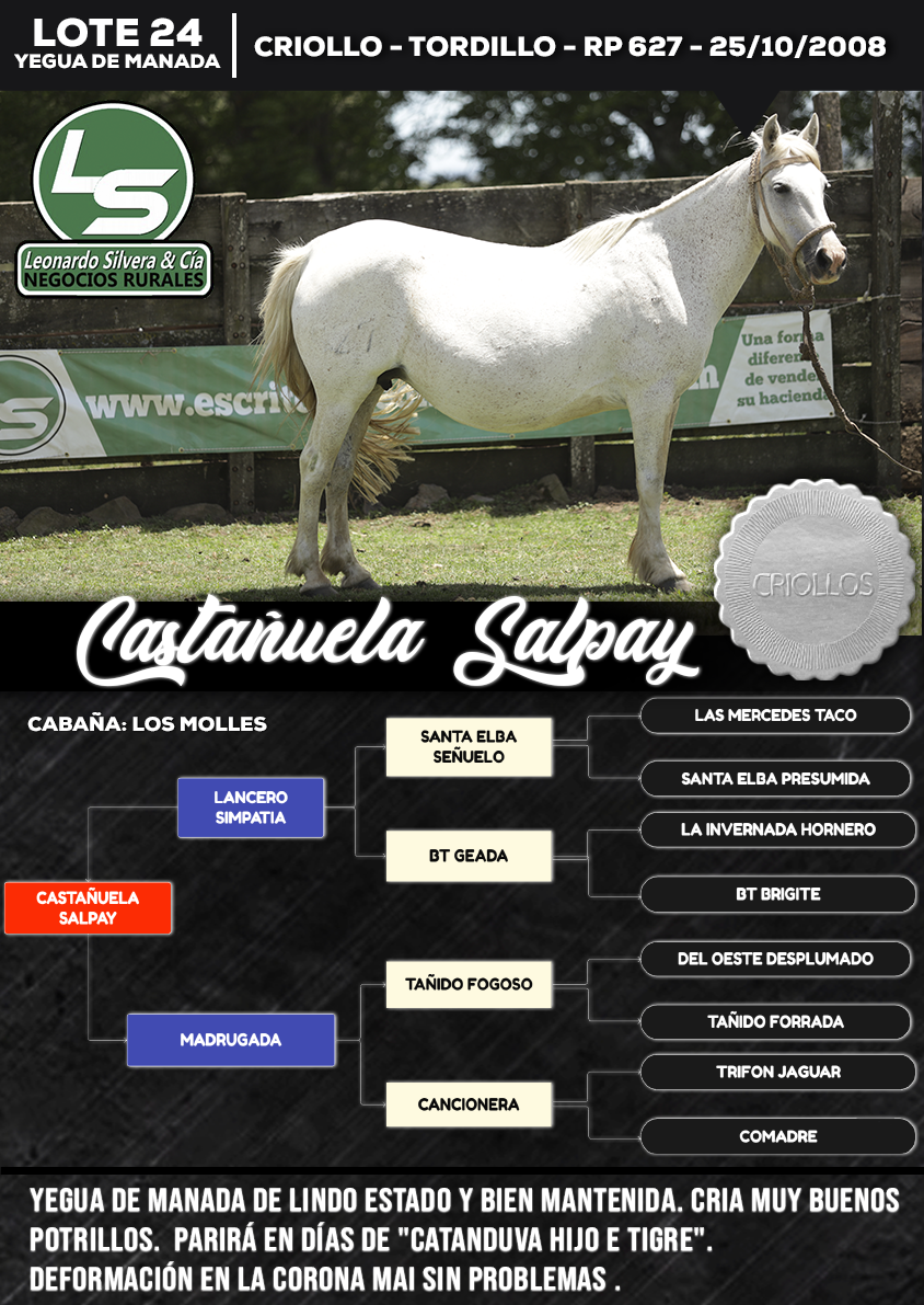 Lote CASTAÑUELA SALPAY