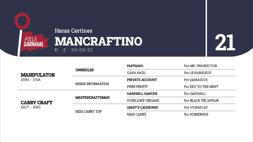 Lote MANCRAFTINO