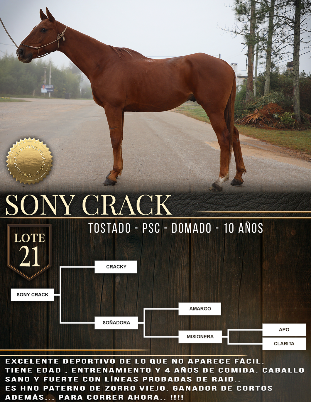 Lote SONY CRACK
