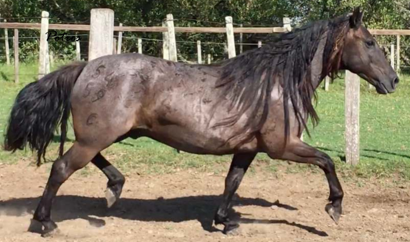 Lote Alférez La Invernada