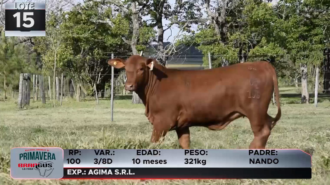 Lote LOTE 15