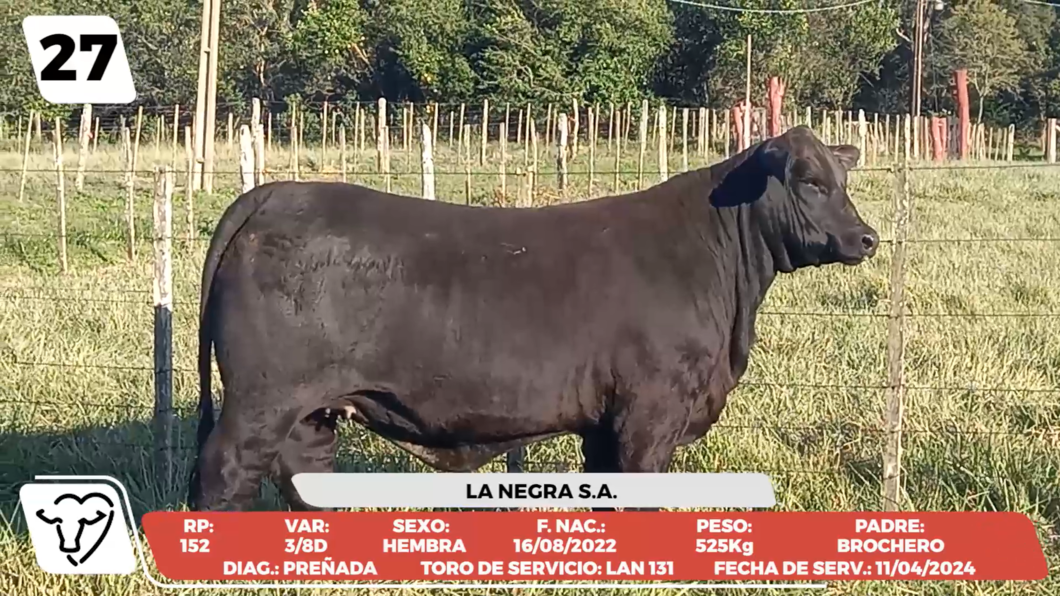 Lote LOTE 27