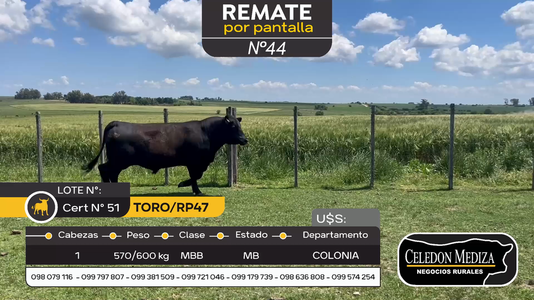 Lote Toro RP47 en Otra Localidad, Colonia