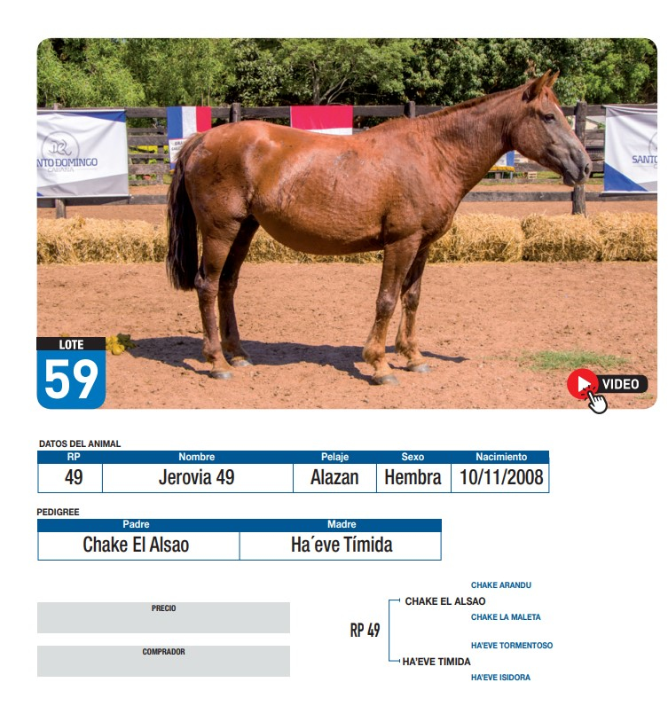 Lote Jerovia 49