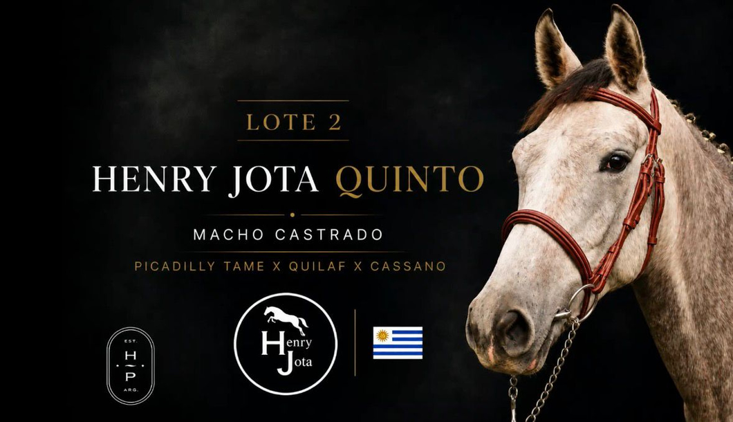 Lote HENRY JOTA QUINTO X PICADILLY TAME X QUILAF