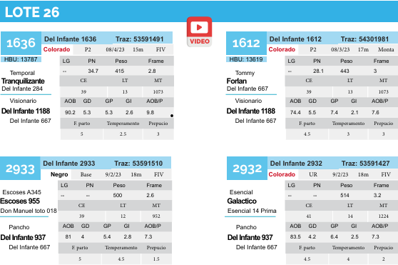 Lote Lote 26