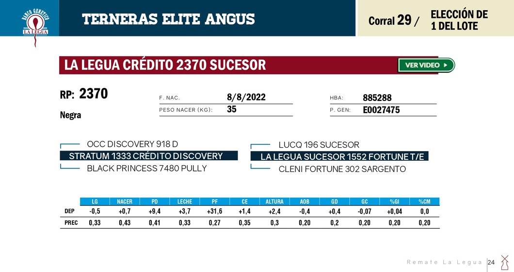 Lote TERNERAS ELITE