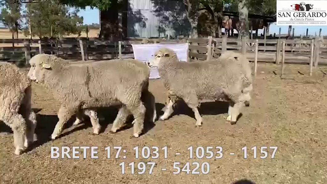 Lote Brete 17 San Gerardo